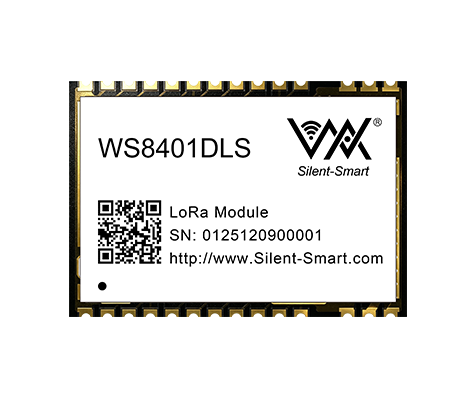 LoRa SOC hardware module--WS8401DLS
