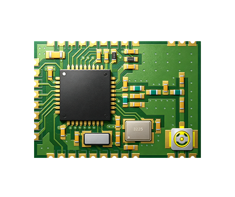 Private Protocol Module--WS8504DLS